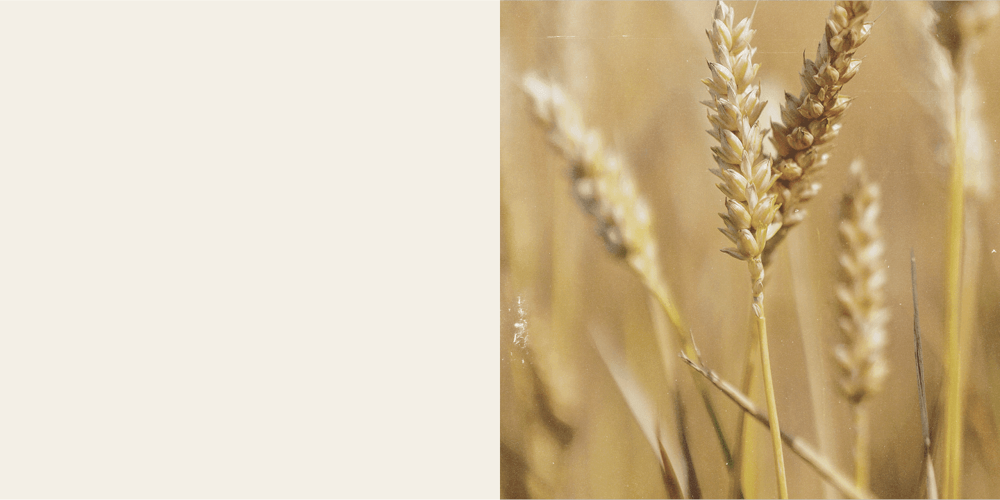 contributing partners background