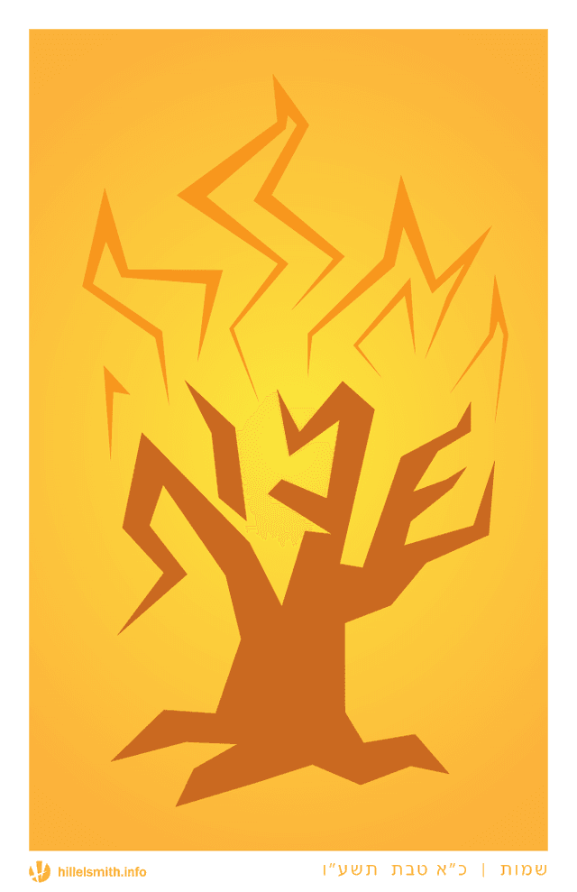 Torah portion illustration