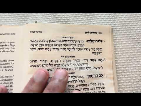 Practice your Hebrew reading. The Amidah Part 7